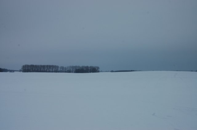 winter12200902.jpg