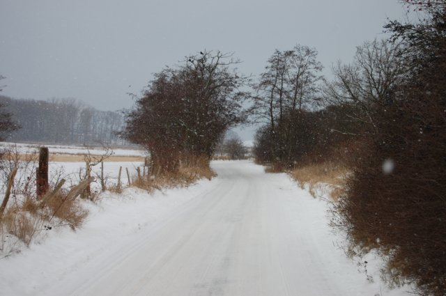 winter12200908.jpg