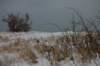 winter12200909_small.jpg