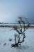 winter12200910_small.jpg