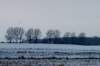 winter12200912_small.jpg