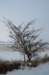 winter12200914_small.jpg