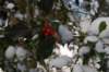 winter12200922_small.jpg